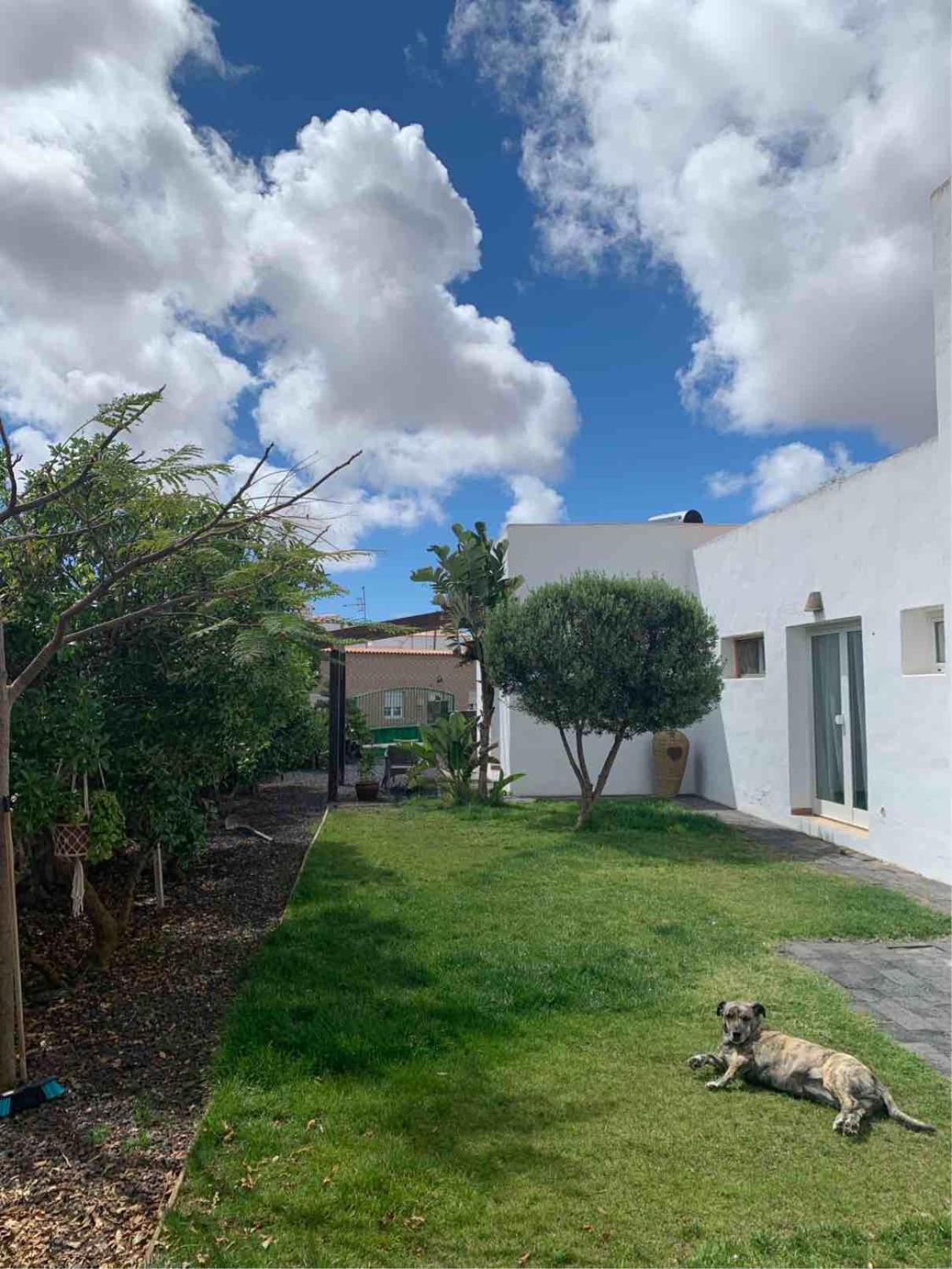 Ferienwohnung Joy Lajares Exterior foto